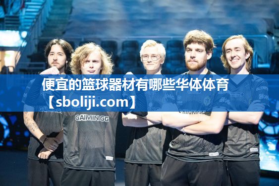 便宜的篮球器材有哪些华体体育