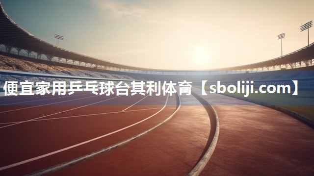 便宜家用乒乓球台其利体育