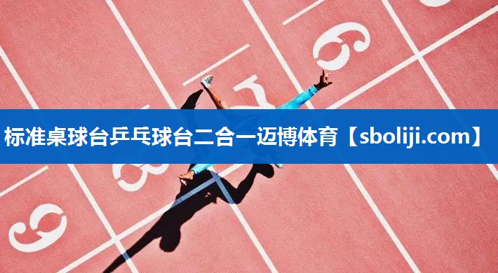 标准桌球台乒乓球台二合一迈博体育