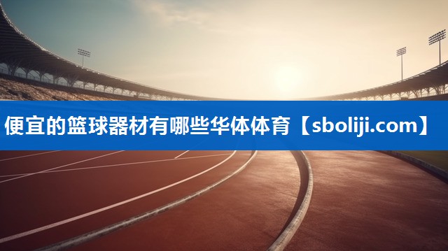 便宜的篮球器材有哪些华体体育