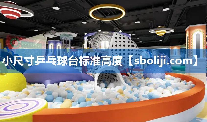 小尺寸乒乓球台标准高度