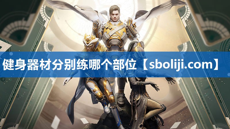 健身器材分别练哪个部位