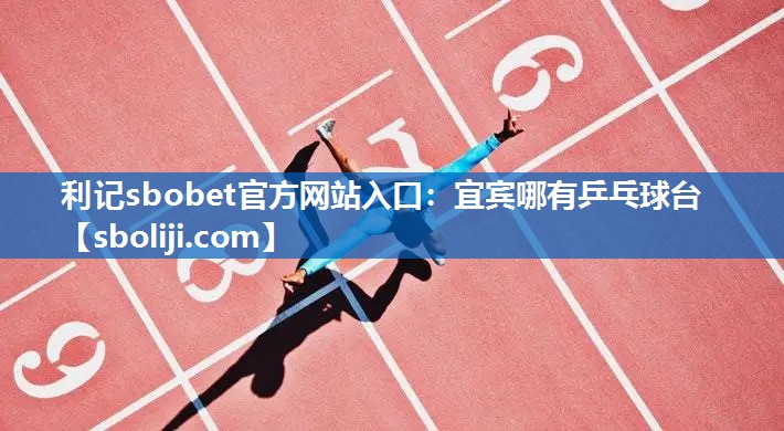 宜宾哪有乒乓球台