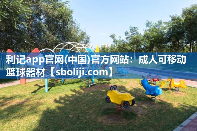成人可移动篮球器材
